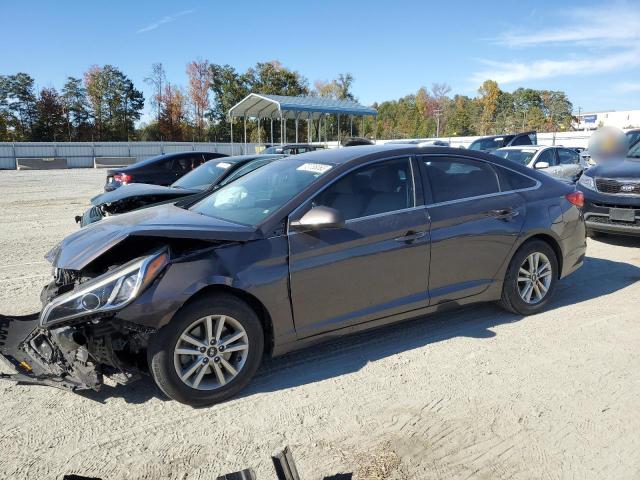 HYUNDAI SONATA 2017 5npe24af4hh505001