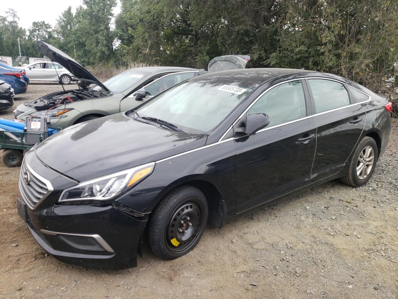 HYUNDAI SONATA 2017 5npe24af4hh508786