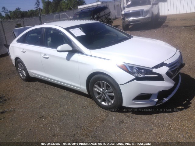 HYUNDAI SONATA 2017 5npe24af4hh509288