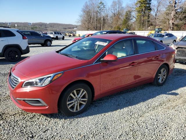 HYUNDAI SONATA 2017 5npe24af4hh525295