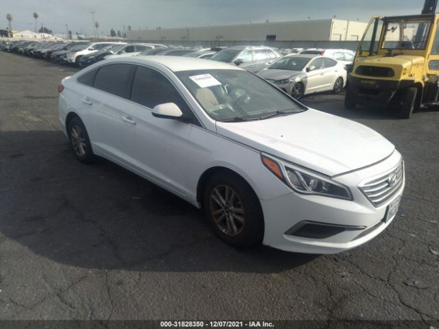 HYUNDAI SONATA 2017 5npe24af4hh526298