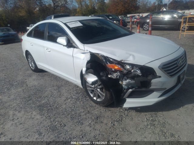 HYUNDAI SONATA 2017 5npe24af4hh526334