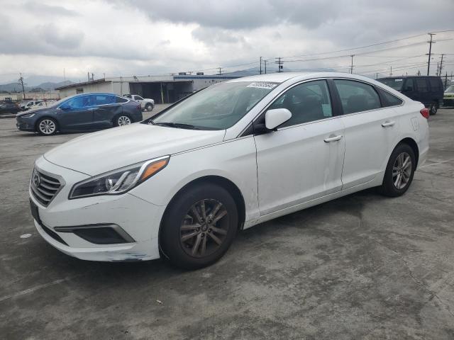 HYUNDAI SONATA 2017 5npe24af4hh527290