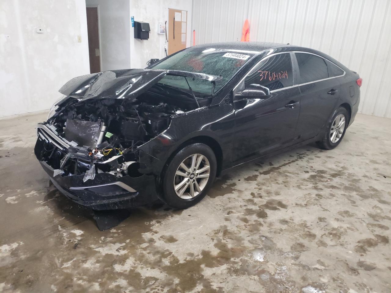 HYUNDAI SONATA 2017 5npe24af4hh530982