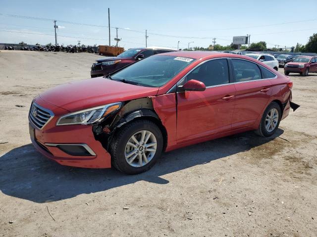 HYUNDAI SONATA 2017 5npe24af4hh541335