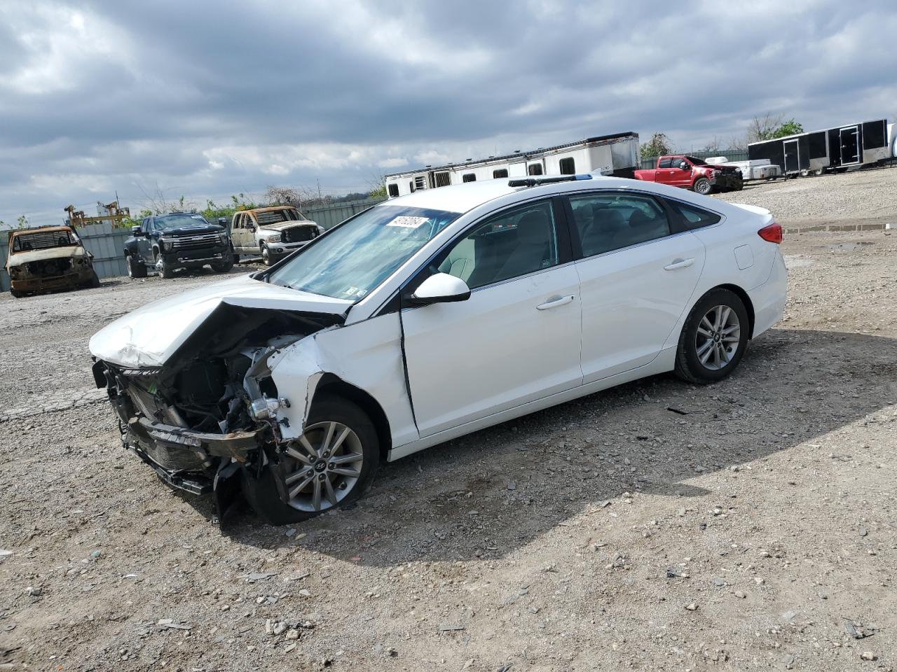 HYUNDAI SONATA 2017 5npe24af4hh543182