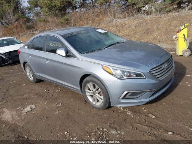 HYUNDAI SONATA 2017 5npe24af4hh544543