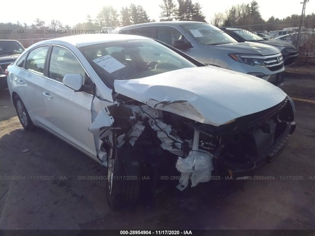 HYUNDAI SONATA 2017 5npe24af4hh552903