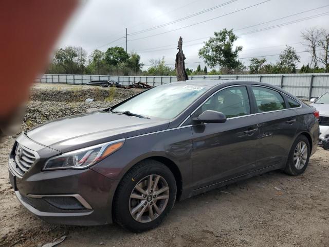 HYUNDAI SONATA 2017 5npe24af4hh563531