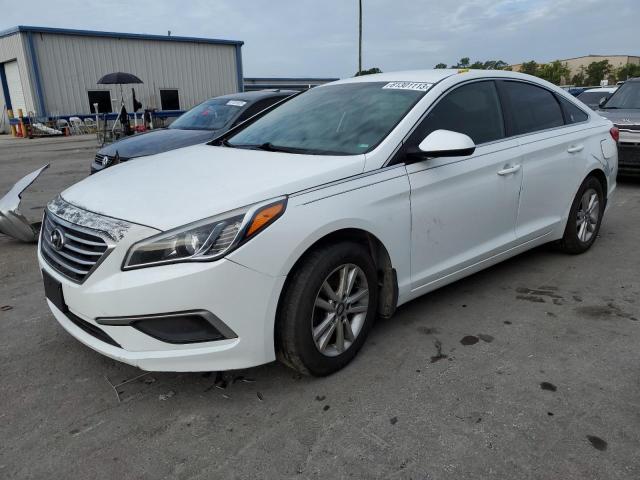 HYUNDAI SONATA 2017 5npe24af4hh565022