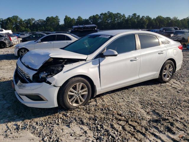 HYUNDAI SONATA 2017 5npe24af4hh565344