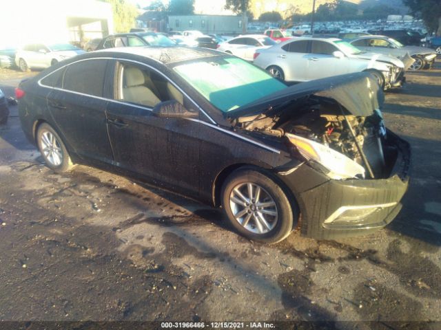 HYUNDAI SONATA 2017 5npe24af4hh569183