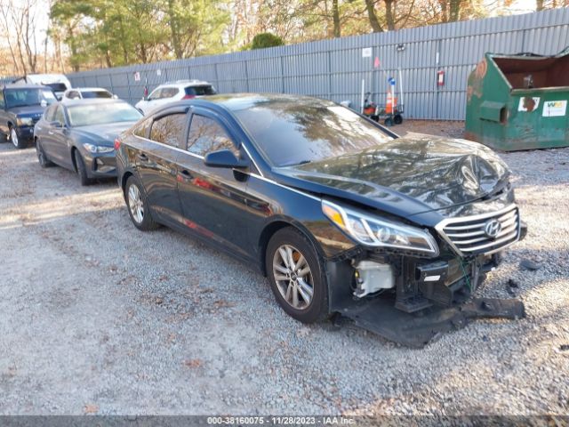 HYUNDAI SONATA 2017 5npe24af4hh574240