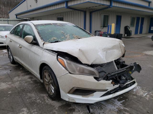 HYUNDAI SONATA SE 2017 5npe24af4hh585335