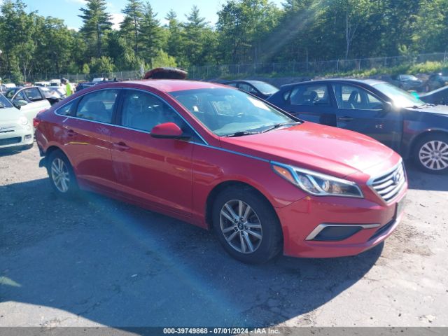 HYUNDAI SONATA 2017 5npe24af4hh585657