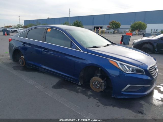 HYUNDAI SONATA 2017 5npe24af4hh591605