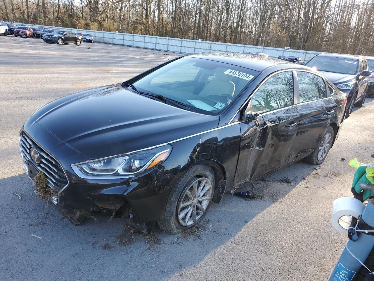 HYUNDAI SONATA 2018 5npe24af4jh656801