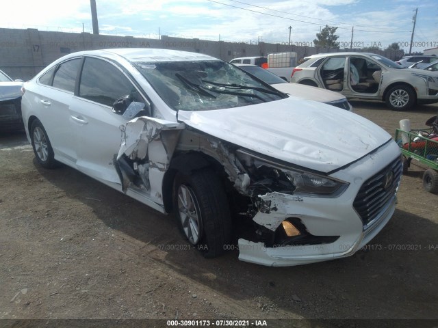 HYUNDAI SONATA 2018 5npe24af4jh673503