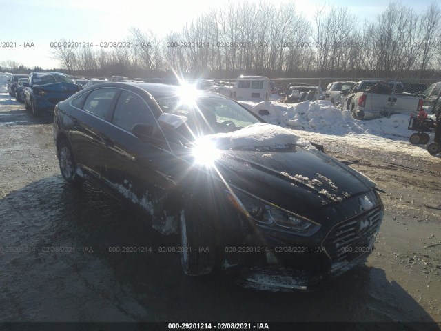 HYUNDAI SONATA 2018 5npe24af4jh693685