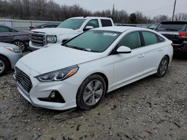 HYUNDAI SONATA SE 2018 5npe24af4jh720321