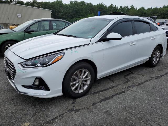 HYUNDAI SONATA SE 2019 5npe24af4kh730753