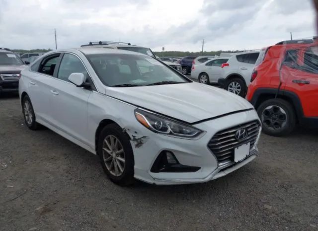 HYUNDAI SONATA 2019 5npe24af4kh734351