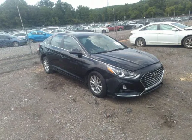 HYUNDAI SONATA 2019 5npe24af4kh736407