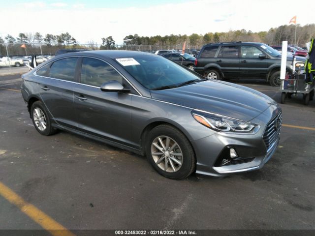 HYUNDAI SONATA 2019 5npe24af4kh739730