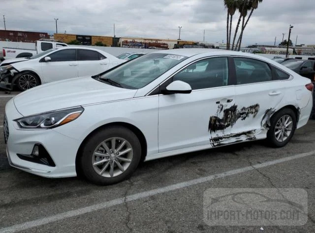 HYUNDAI SONATA 2019 5npe24af4kh740179