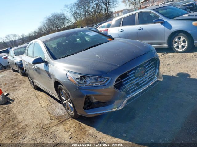 HYUNDAI SONATA 2019 5npe24af4kh744684