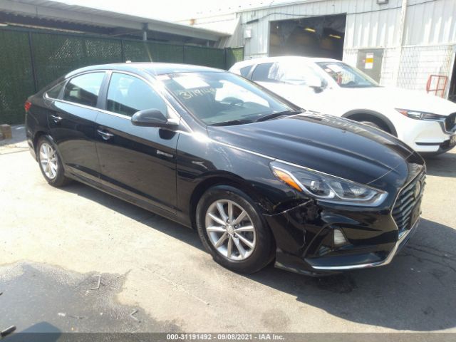 HYUNDAI SONATA 2019 5npe24af4kh750467