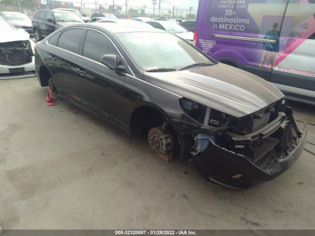 HYUNDAI SONATA 2019 5npe24af4kh750517