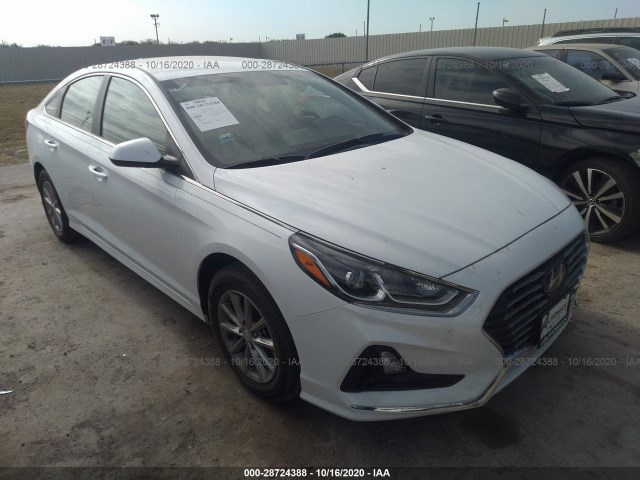 HYUNDAI SONATA 2019 5npe24af4kh751313