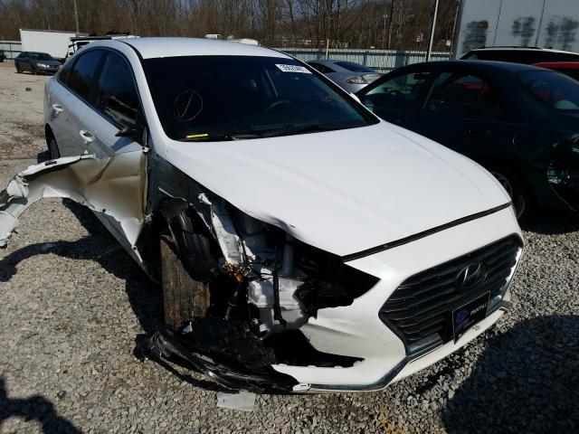 HYUNDAI SONATA SE 2019 5npe24af4kh752834