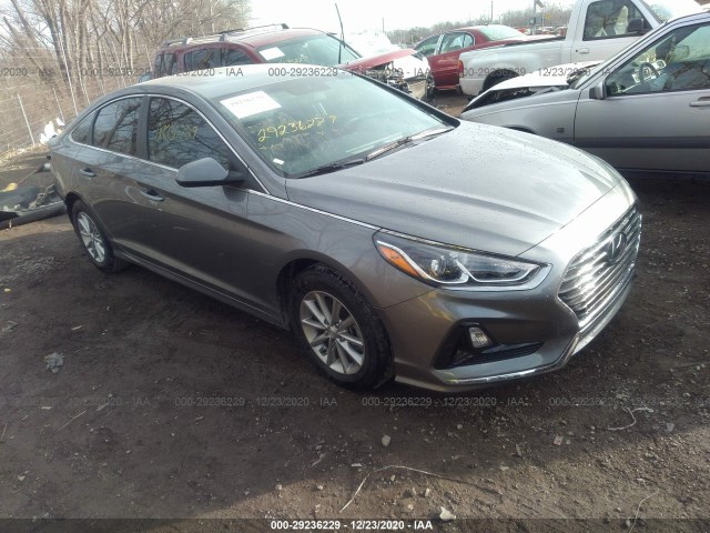 HYUNDAI SONATA 2019 5npe24af4kh754454