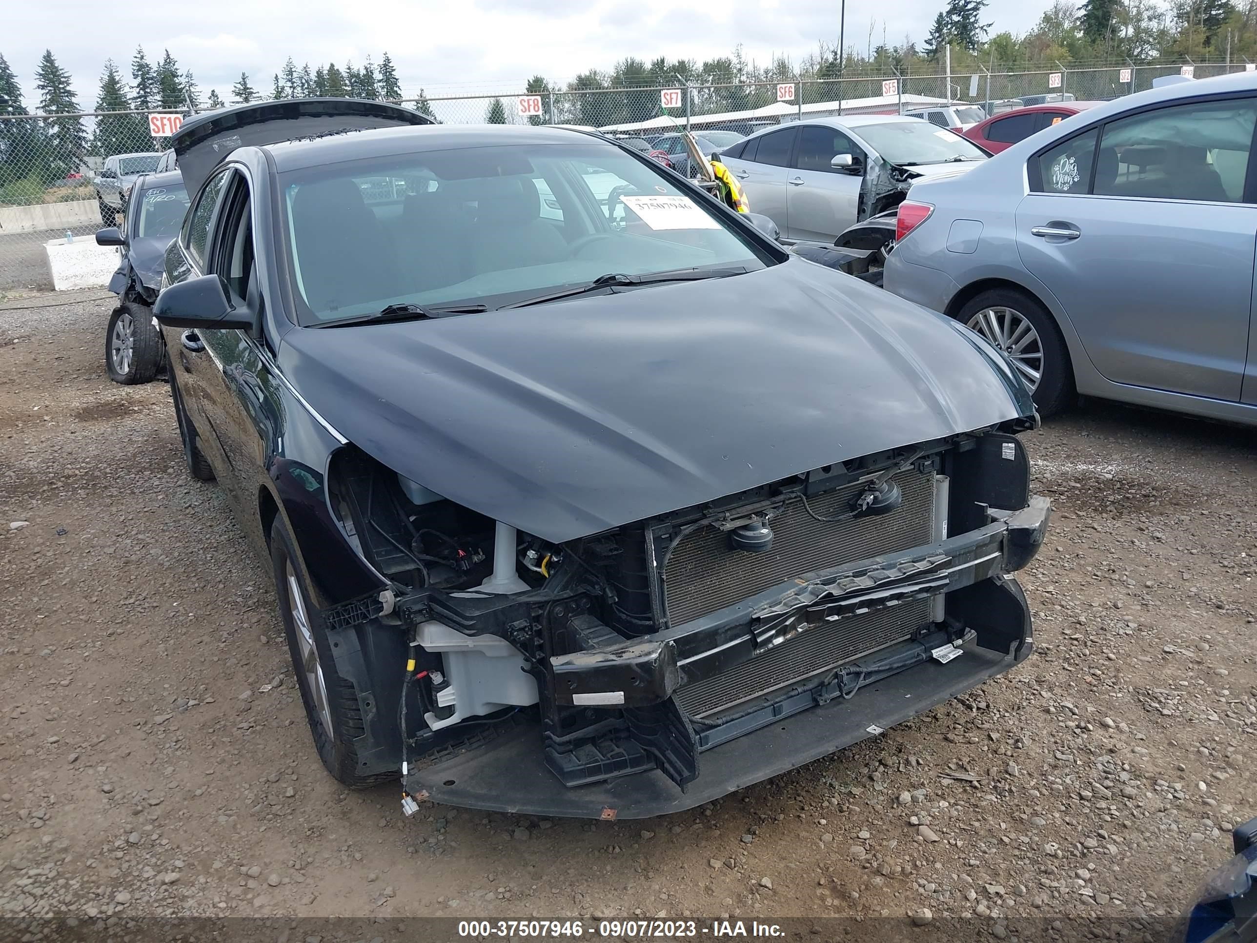 HYUNDAI SONATA 2019 5npe24af4kh755183