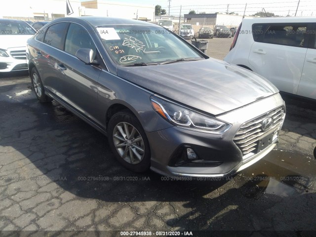 HYUNDAI SONATA 2019 5npe24af4kh755233