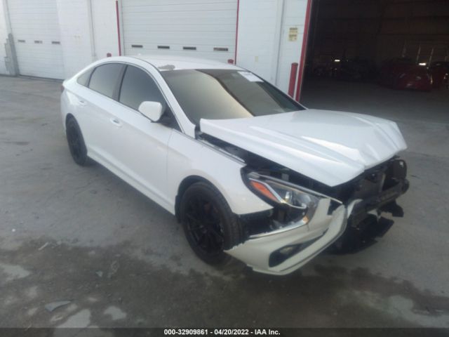 HYUNDAI SONATA 2019 5npe24af4kh755636