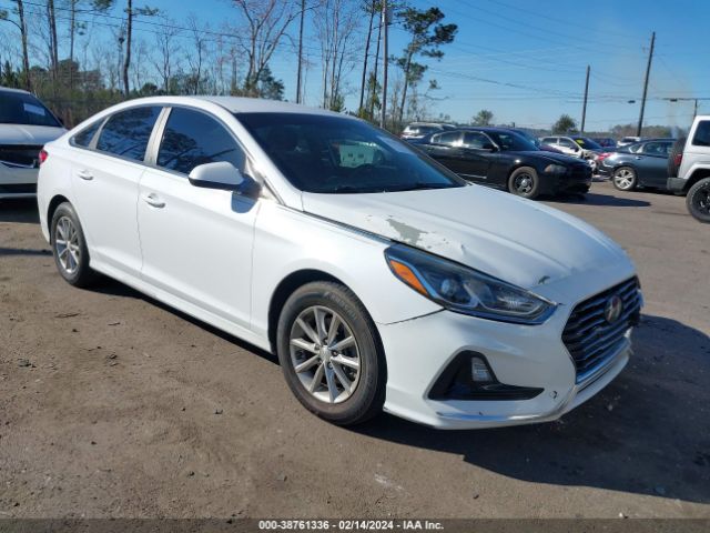 HYUNDAI SONATA 2019 5npe24af4kh755684