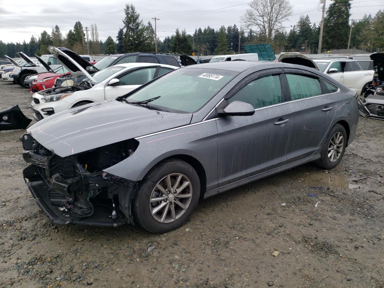 HYUNDAI SONATA 2019 5npe24af4kh756057