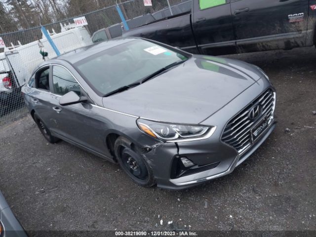 HYUNDAI SONATA 2019 5npe24af4kh756303