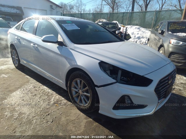 HYUNDAI SONATA 2019 5npe24af4kh760416