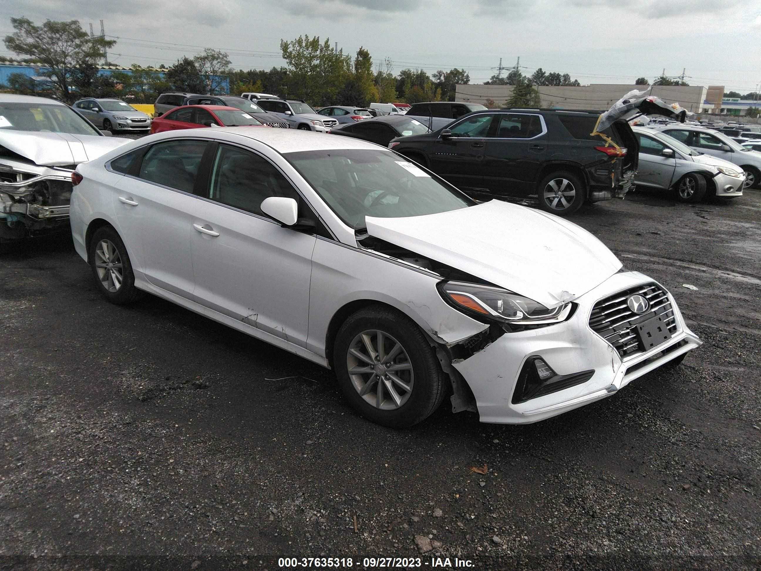 HYUNDAI SONATA 2019 5npe24af4kh760593