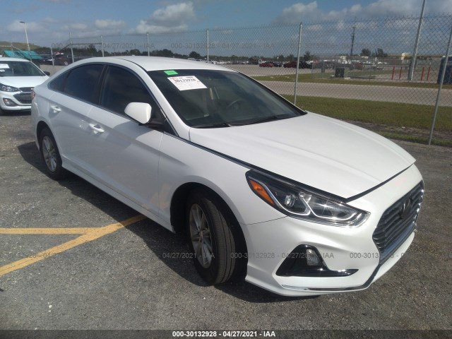 HYUNDAI SONATA 2019 5npe24af4kh763302