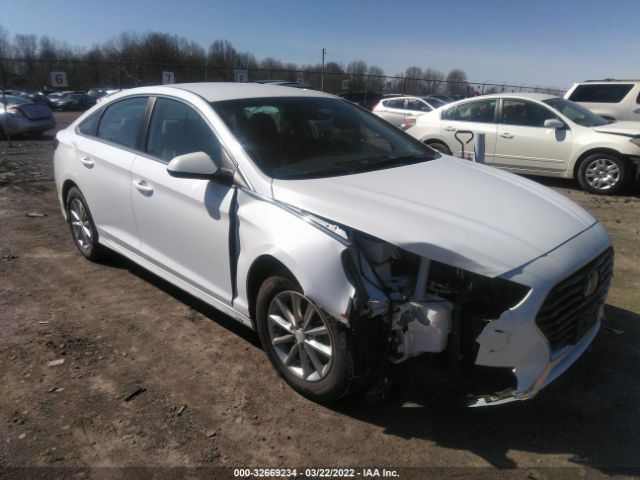 HYUNDAI SONATA 2019 5npe24af4kh764563