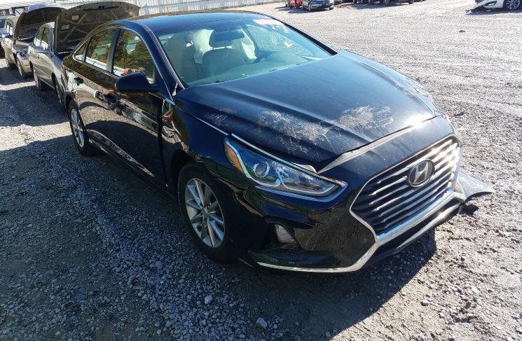 HYUNDAI SONATA 2019 5npe24af4kh767494