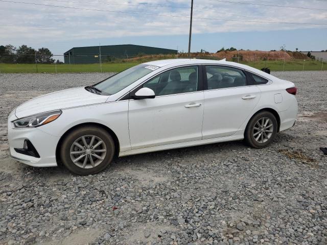 HYUNDAI SONATA SE 2019 5npe24af4kh772369