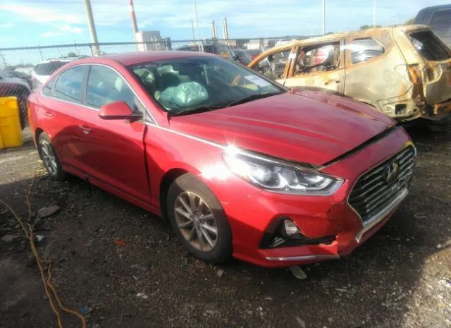 HYUNDAI SONATA 2019 5npe24af4kh772839