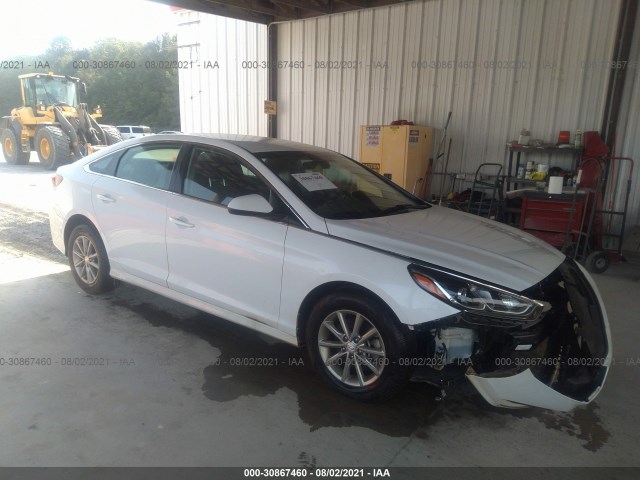 HYUNDAI SONATA 2019 5npe24af4kh775109