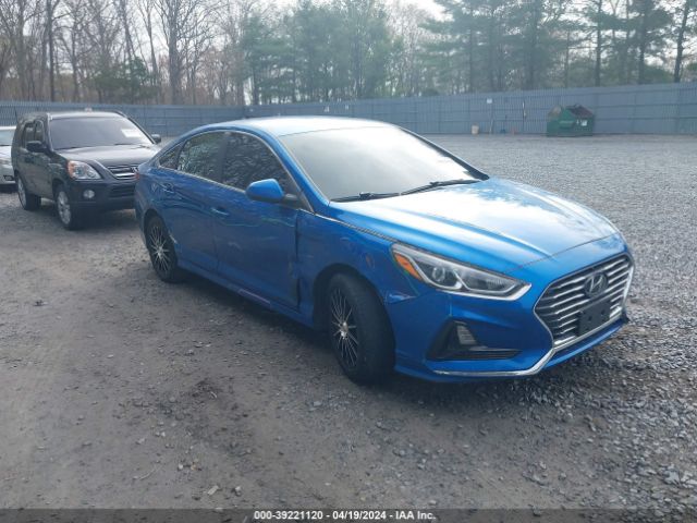 HYUNDAI SONATA 2019 5npe24af4kh775241